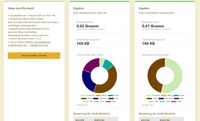 Ergebnis-Seite des Audit-Dashboards